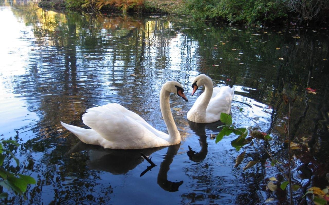 where to stay near ricketts glen state park